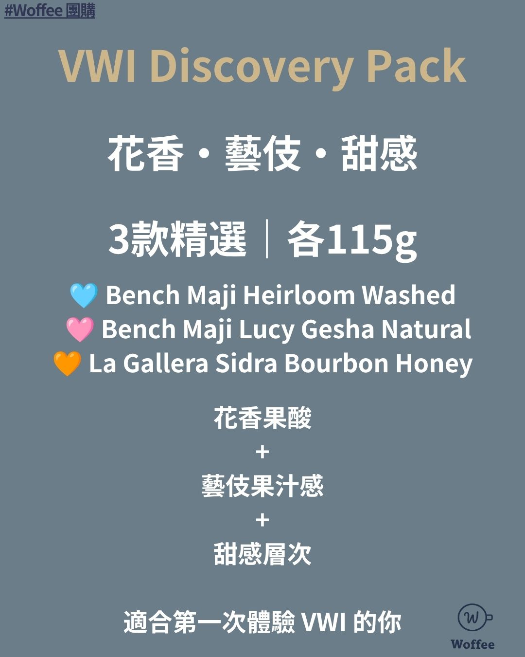 VWI Discovery Pack|3款精選體驗組(115g x 3)(價值HK$644)
