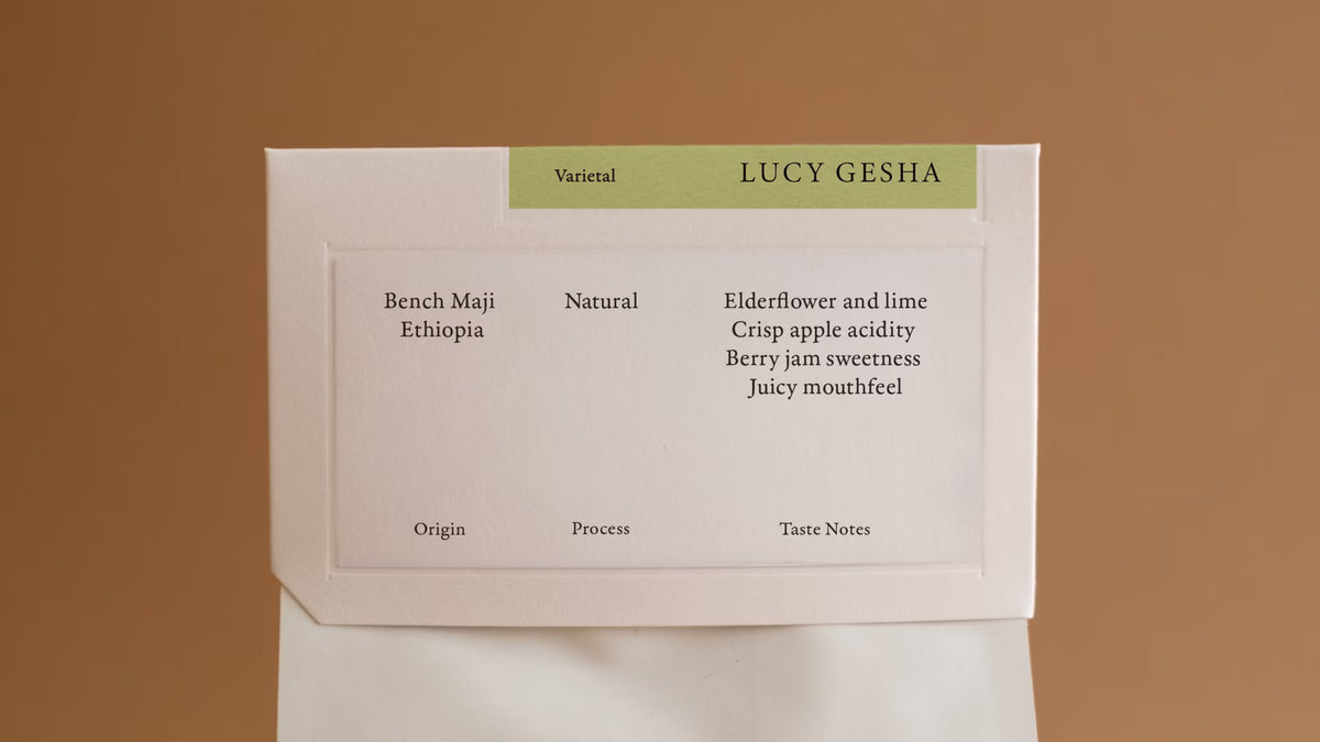 Ethiopia Bench Maji Lucy Gesha Natural